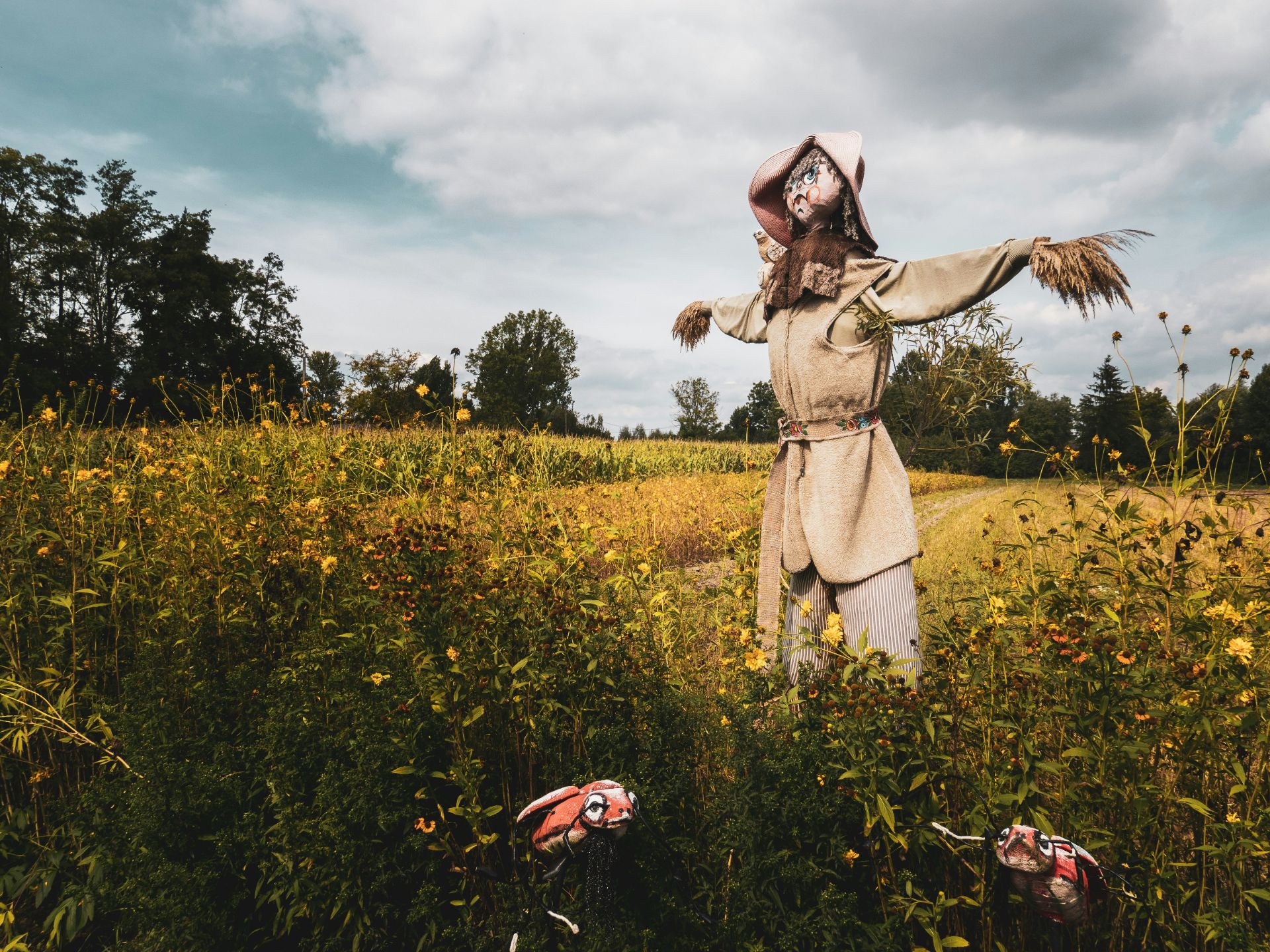 mateusz-raczynski-hAHsVf7W9HE-unsplash%20(1).jpg